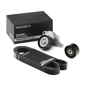 542R0032 RIDEX