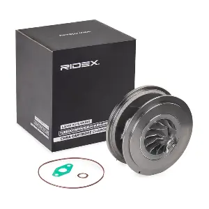 4973C0111 RIDEX