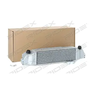 468I0119 RIDEX