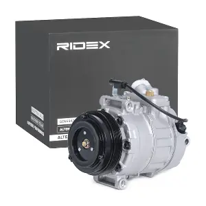 RIDEX 447K0195