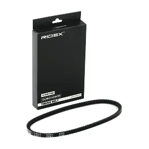 RIDEX 10C0057
