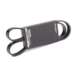 305P0058 RIDEX