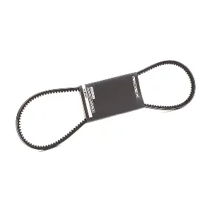 RIDEX 10C0039