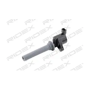 RIDEX 689C0336