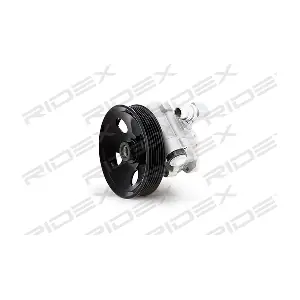 RIDEX 12H0038