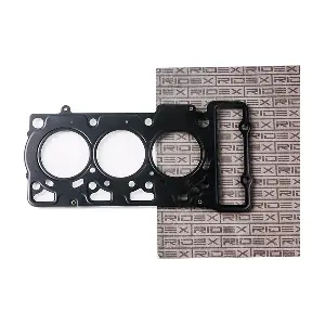 RIDEX 318G0169