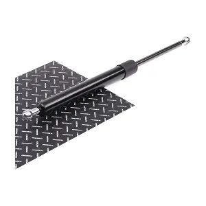219G0530 RIDEX