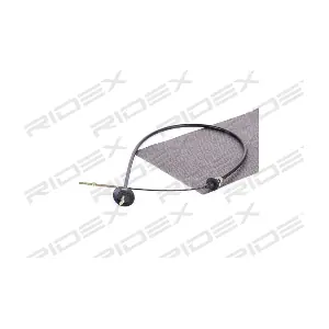 RIDEX 478S0046