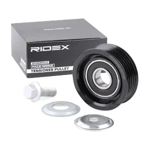 RIDEX 310T0119