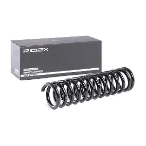 188C0290 RIDEX
