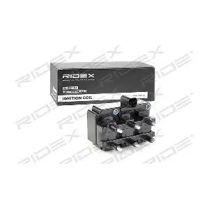 689C0201 RIDEX