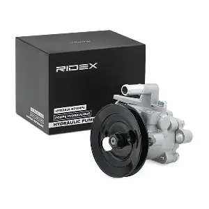 12H0282 RIDEX
