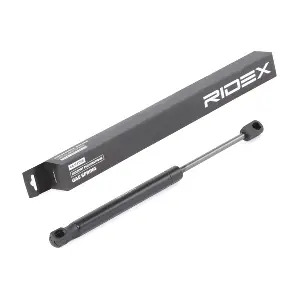 219G0653 RIDEX