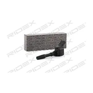 RIDEX 689C0031