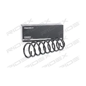 188C0289 RIDEX