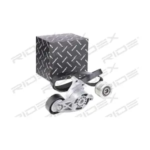 RIDEX 542R0250
