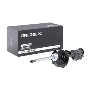 RIDEX 854S0702