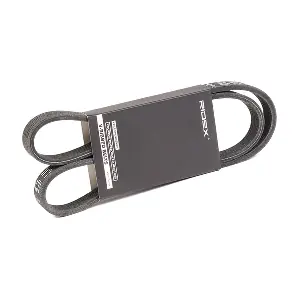 305P0063 RIDEX