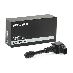 689C0239 RIDEX
