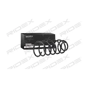 188C0100 RIDEX