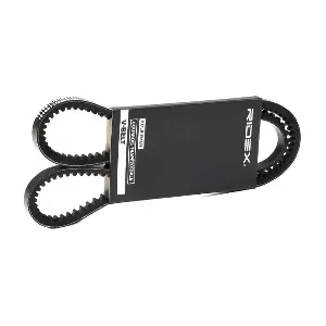 RIDEX 10C0060