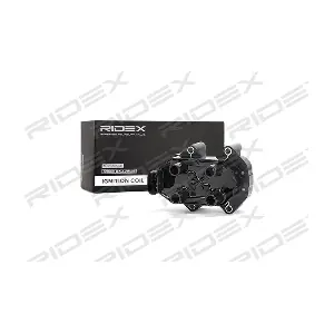 689C0125 RIDEX