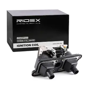 689C0217 RIDEX