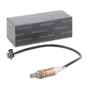 RIDEX 3922L0113