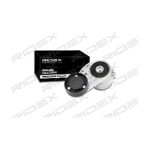 541V0013 RIDEX