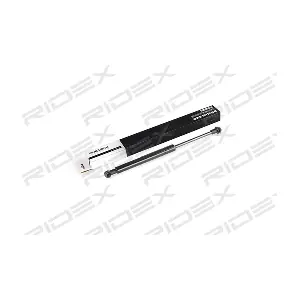219G0572 RIDEX