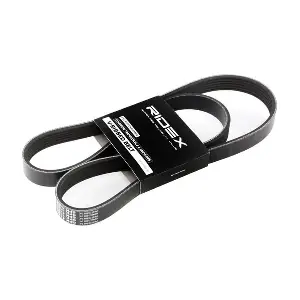 305P0118 RIDEX