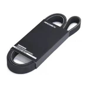 305P0506 RIDEX