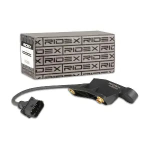 3946S0006 RIDEX