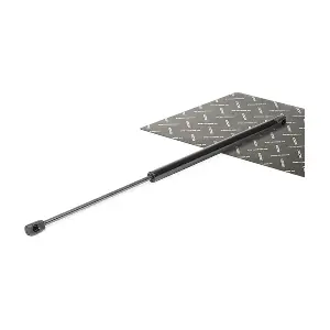 219G0157 RIDEX
