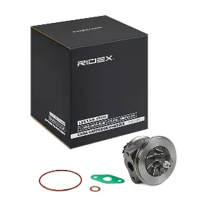 4973C0183 RIDEX