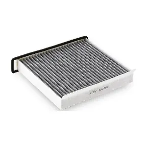 RIDEX 424I0110