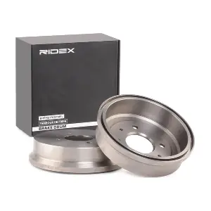 RIDEX 123B0059