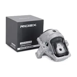 247E0253 RIDEX