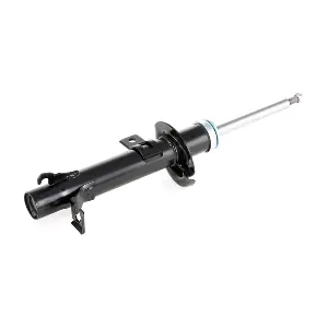 854S1189 RIDEX