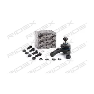 2462S0196 RIDEX