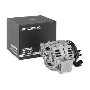 4G0670 RIDEX