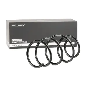 188C0079 RIDEX