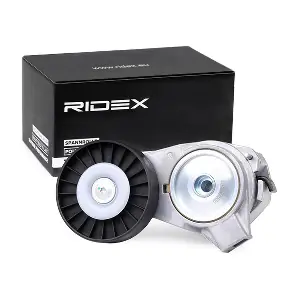 540T0012 RIDEX