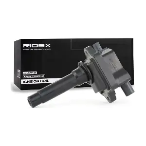689C0273 RIDEX