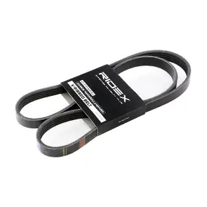 RIDEX 305P0249