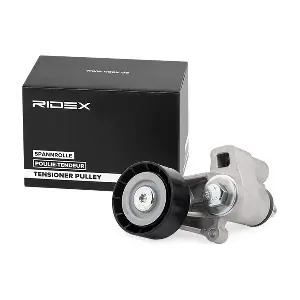 310T0048 RIDEX
