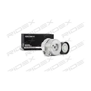 310T0069 RIDEX