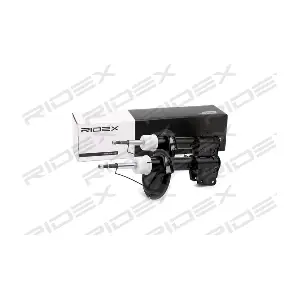 854S2225 RIDEX