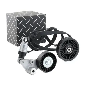 RIDEX 542R0293