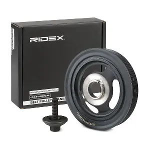 RIDEX 3213B0170